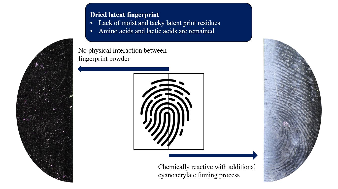 AST-2025-005_R1_Graphical Abstract_001.jpg